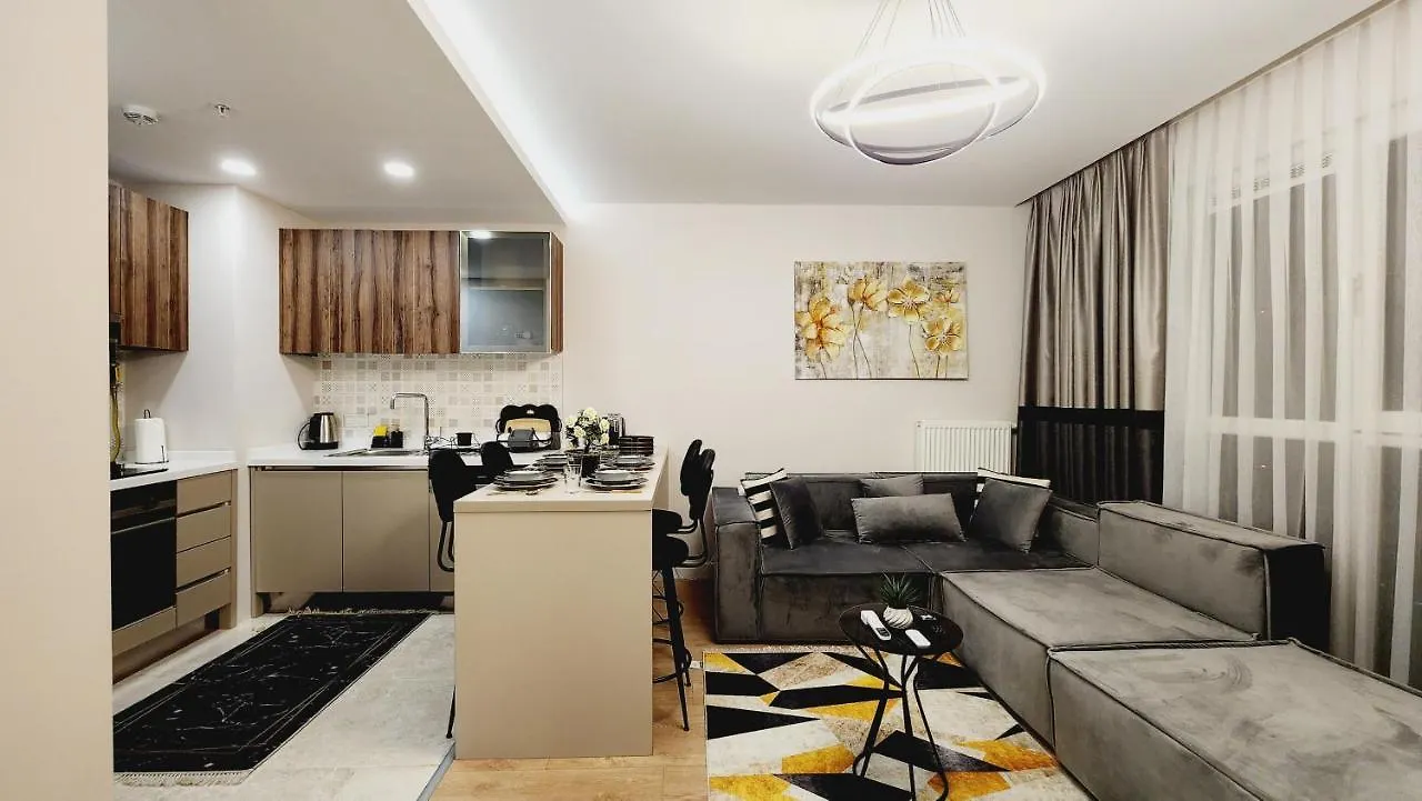 Appartement Alyateras à Istambul Turquie